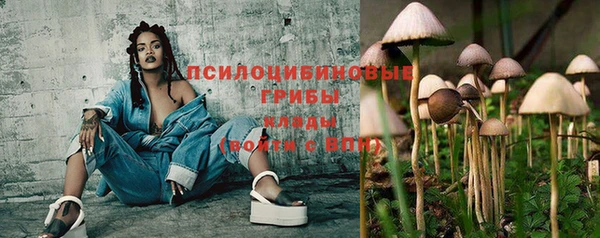 прущие крисы Арсеньев