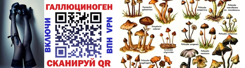 Галлюциногенные грибы Psilocybe  Кубинка 